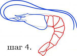 малюємо креветку
