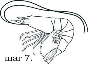 малюємо креветку