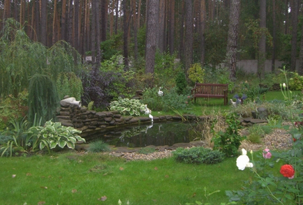 Grădina rusă - gospodărie rusă, idei frumoase pentru o grădină