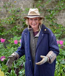 Rosemary alexander garden - grădina de case din ferme de nisip, design peisagistic de grădini și parcuri