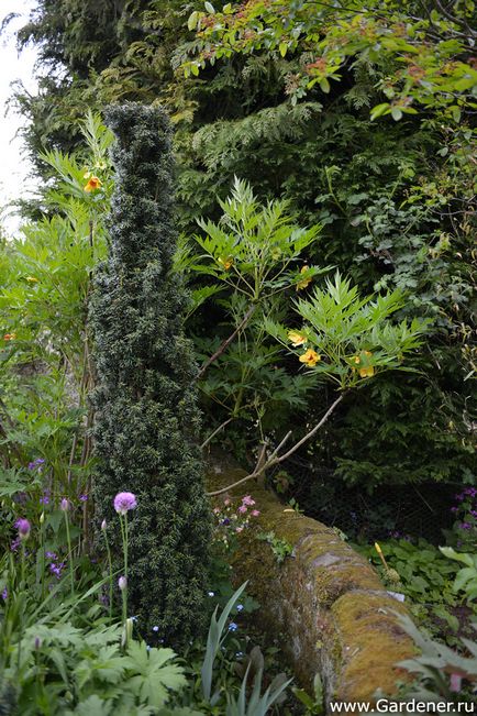 Rosemary alexander garden - ferma de nisip