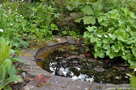 Rosemary alexander garden - ferma de nisip