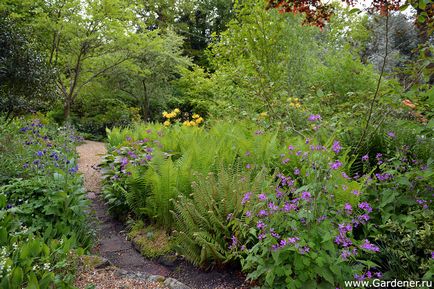 Rosemary alexander garden - ferma de nisip