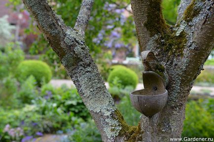 Rosemary alexander garden - ferma de nisip