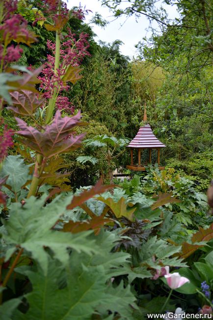 Rosemary alexander garden - ferma de nisip