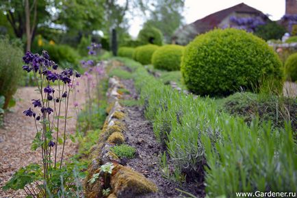 Rosemary alexander garden - ferma de nisip