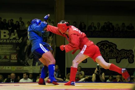 Sambo sau judo care fel de luptă este mai bună, apărător curajos