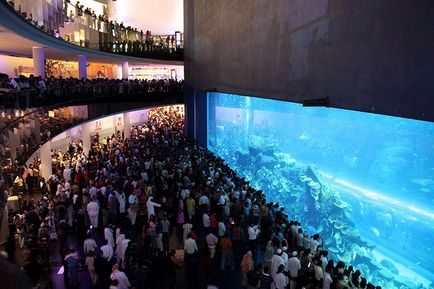 Cele mai impresionante oceanarium și aqua-galerii din lume 1