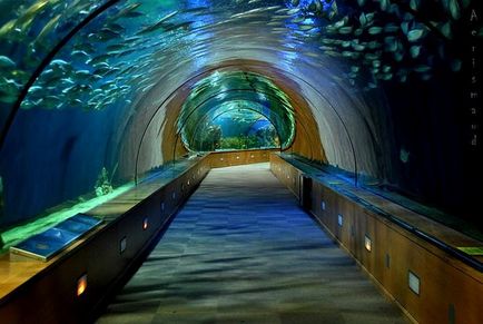 Cele mai impresionante oceanarium și aqua-galerii din lume 1
