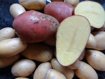 Planificăm cartofii într-un mod nou - secretele unui grădinar experimentat