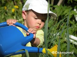 секрети садівника