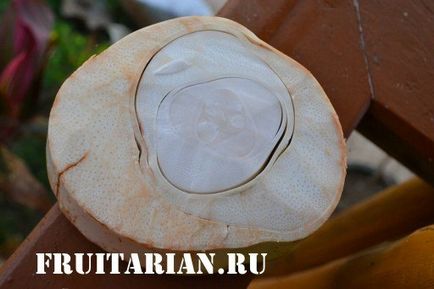 Inima unui palmier este trunchiul unei palmieri de nucă de cocos