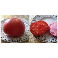 Inima Tibetului pentru a cumpăra semințe de tomate în magazinul online - Tomate din regiunea Elbrus