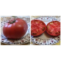 Inima Tibetului pentru a cumpăra semințe de tomate în magazinul online - Tomate din regiunea Elbrus