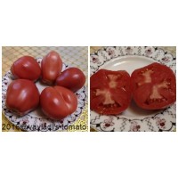 Серце Тибету купити насіння томатів в інтернет-магазині - томати Приельбрусся