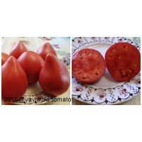 Inima Tibetului pentru a cumpăra semințe de tomate în magazinul online - Tomate din regiunea Elbrus