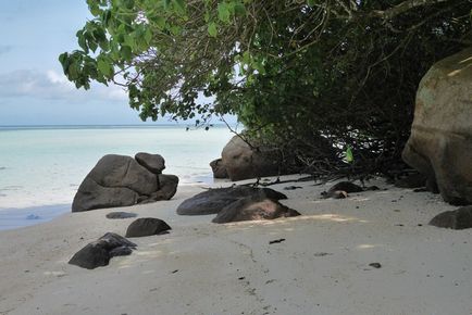 Seychelles Mahe-sziget