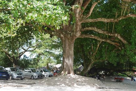 Seychelles isle mahe