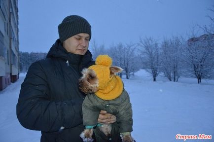 Hat cu o cămașă pentru un câine (Yorkshire terrier) - mama țării