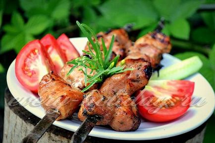 Grill ayran recept fotó (fotó) Grill ayran recept egy fotó
