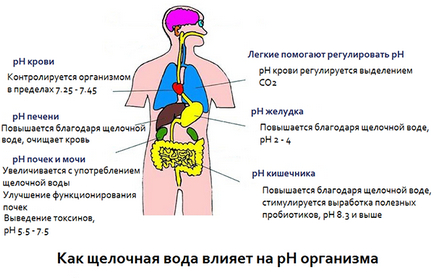 Лужна вода - користь чи шкода