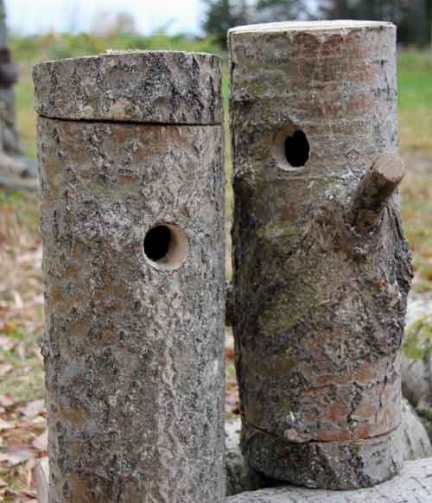 Birdhouses (case de păsări) cu mâinile lor