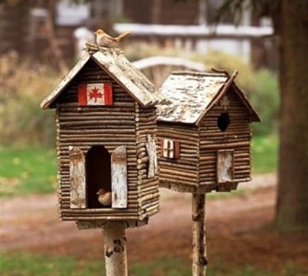 Birdhouses (case de păsări) cu mâinile lor