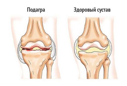 Снить корисні властивості і протипоказання