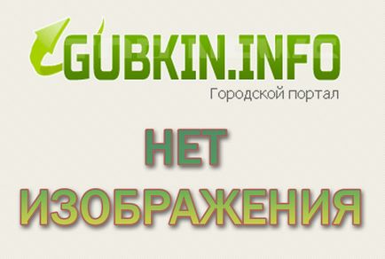 Собака загинула, рятуючи кішку від вогню, інформаційний портал міст Губкін, білгород, старий оскол