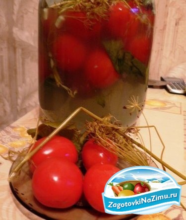 Способи засолювання помідорів