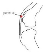 Structura articulațiilor genunchiului și boala lor