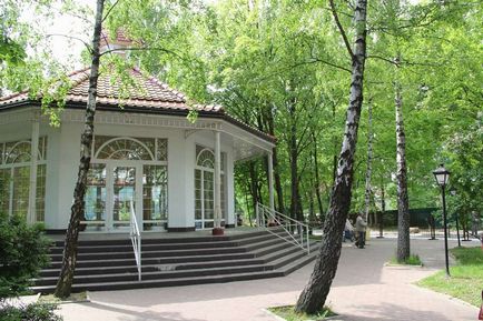 Svetlogorsk este un oraș verde de pe coasta Mării Baltice 1
