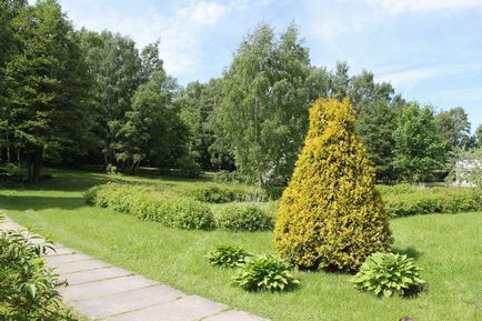 Svetlogorsk este un oraș verde de pe coasta Mării Baltice 1