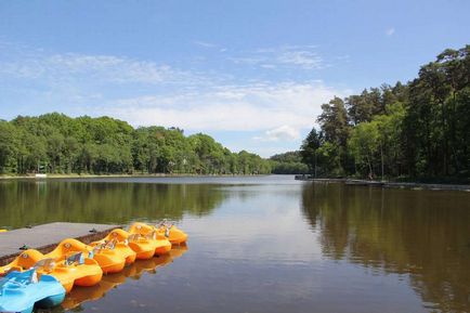 Світлогорськ - зелене місто на березі Балтійського моря 1