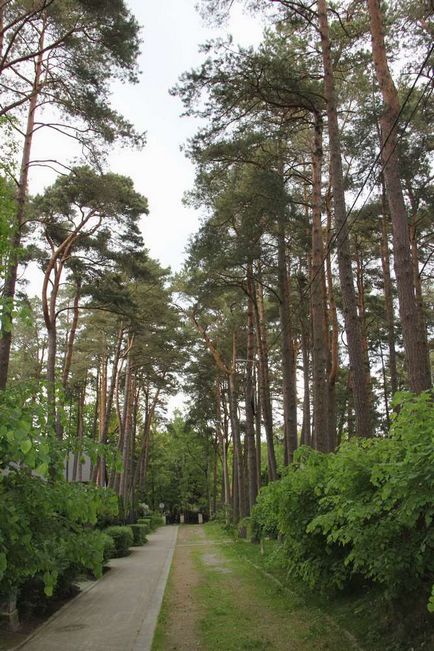 Svetlogorsk este un oraș verde de pe coasta Mării Baltice 1