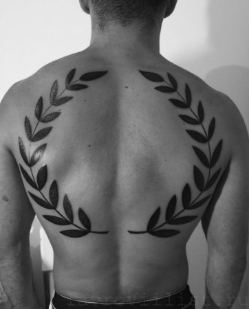 Tattoos babér - babér (nemes) Tattoo babérlevél - babérlevél
