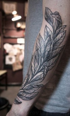 Laurel Leaf Tattoo - Bay Leaf