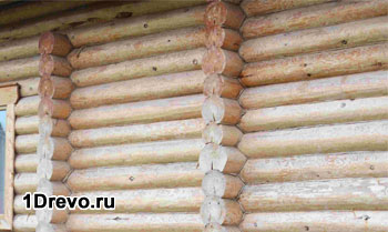 Grosimea casei de lemn pentru reședință permanentă și revizuirea baiilor de opțiuni adecvate