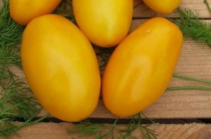Томати сорти - кулька опис помідорів, врожайність, країна походження і схильність