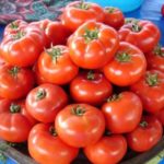 Tomato slot f1 demnitate și varietate de cultivare