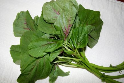 Трава і листя амаранту лікувальні властивості і застосування