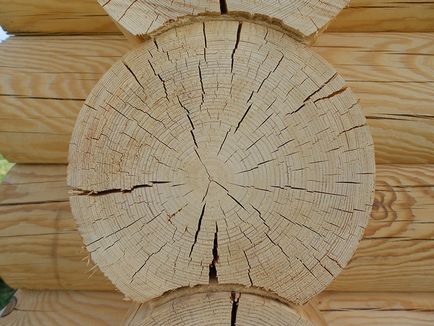 Тріщини в колоді дерев'яного зрубу - причини, джерело походження
