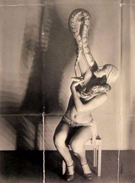 Приборкувачки змій ретро фотографії дам, які виходили на арену цирку зі зміями