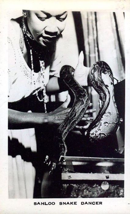 Snake Tamer Fotografiile retro ale doamnelor care au mers la arena de circ cu șerpi