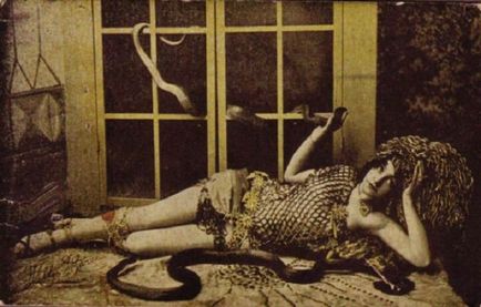 Snake Tamer Fotografiile retro ale doamnelor care au mers la arena de circ cu șerpi