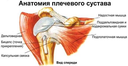 Exerciții pentru articulația umărului