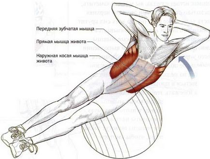 Exerciții pe mușchii abdominali oblici pentru sfaturile de antrenor pentru bărbați și femei