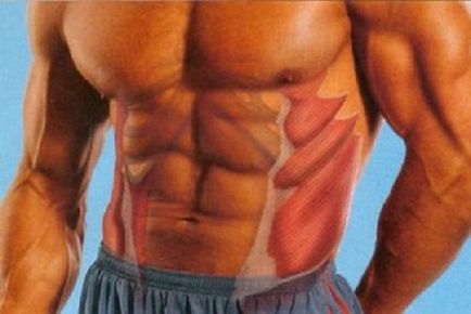 Exerciții pe mușchii abdominali oblici pentru sfaturile de antrenor pentru bărbați și femei