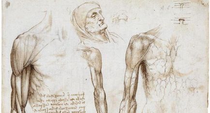 Lecțiile lui Leonardo da Vinci și invențiile sale strălucite nu au fost încă studiate complet