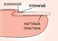 Послуги клініки ego-estetic